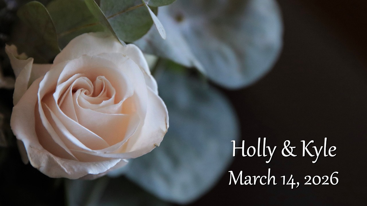 Holly & Kyle Wedding