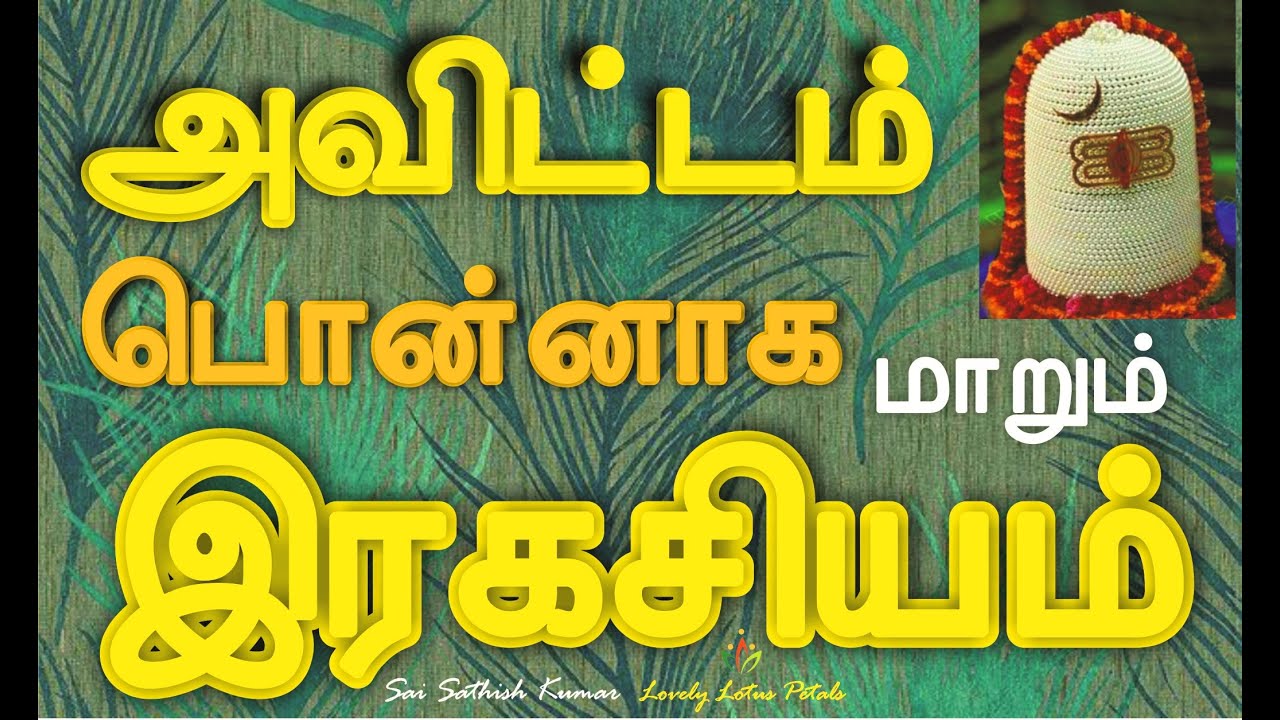 #அவிட்டம்பொன் #lovelylotuspetals