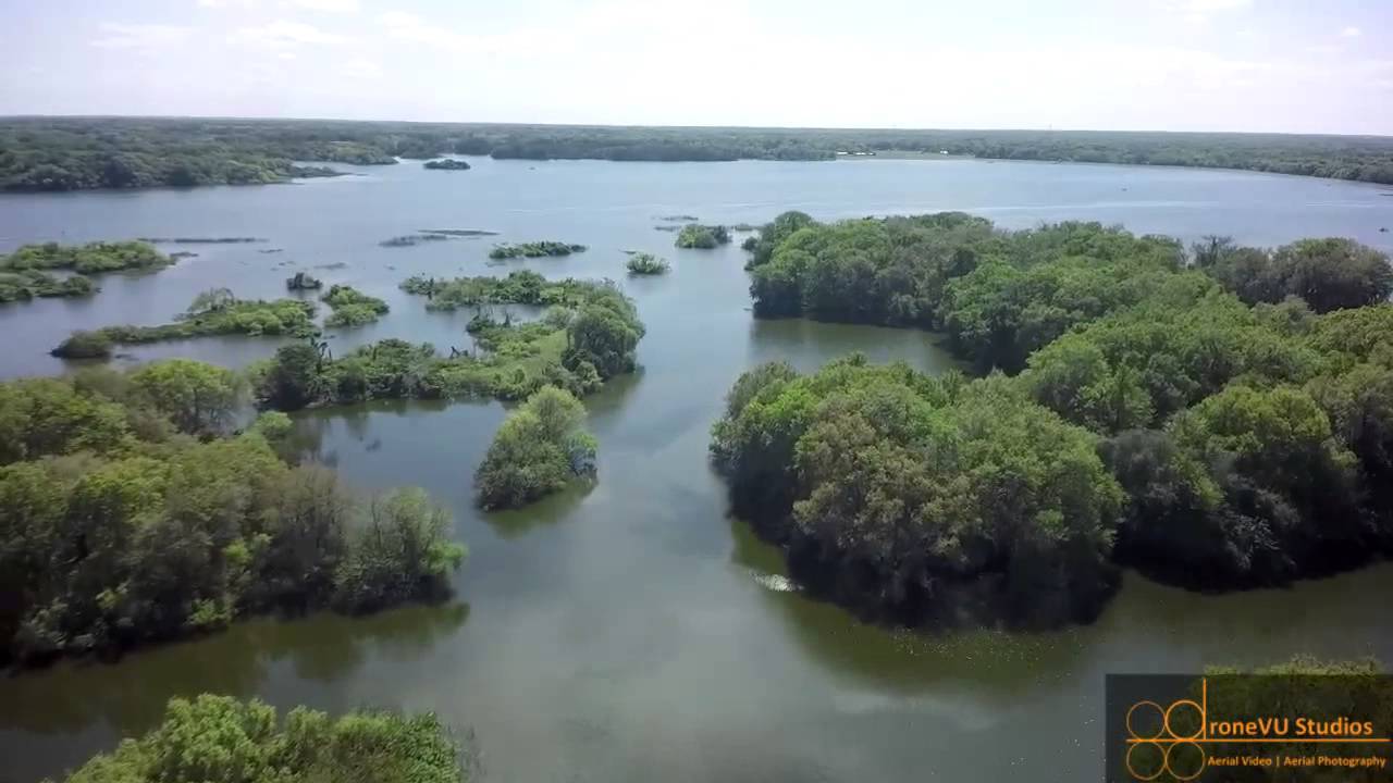 Drone vs. Alligator - Edward Medard Park Aerial Drone Tour