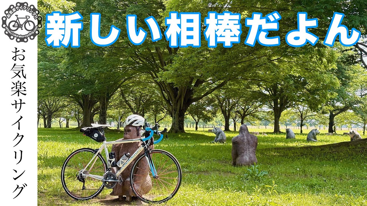 新しい相棒、コルナゴ プリマベーラ