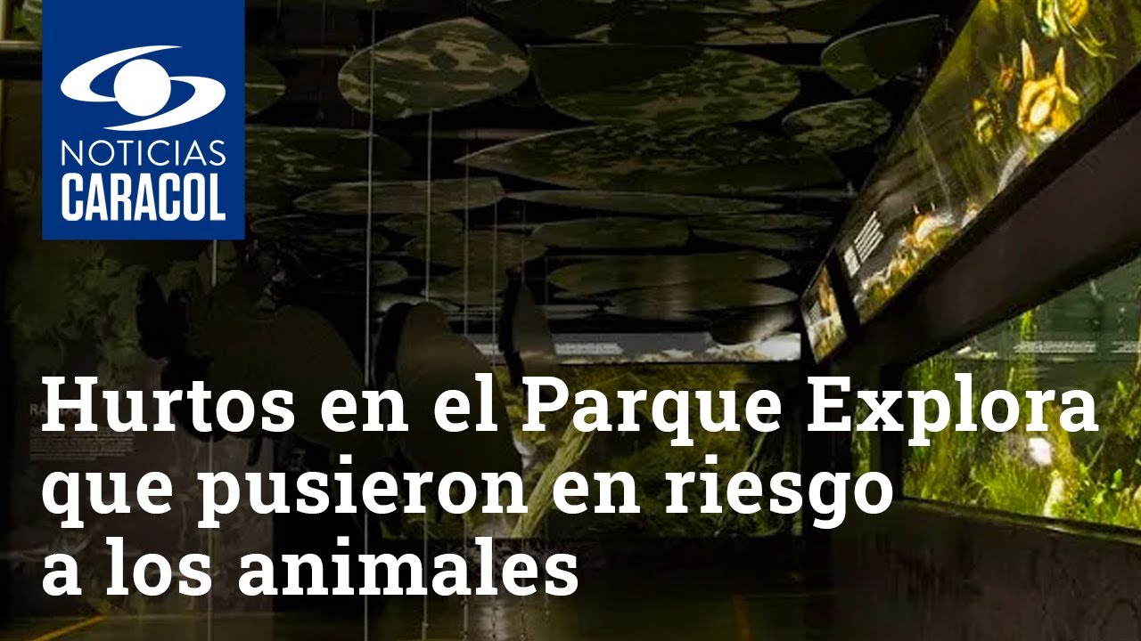 Indignaci&oacute;n en Medell&iacute;n por hurtos en el Parque Explora que pusieron en riesgo a los animales