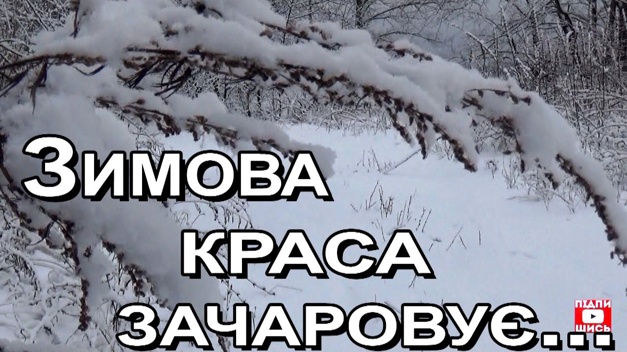 Оцю красу хотіли знищити