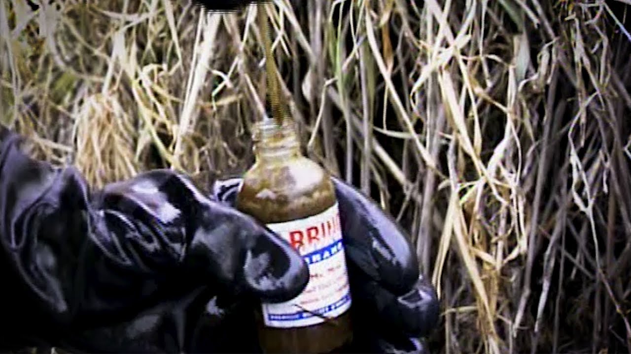 Old School: How To Trap A Mink With A Pocket Set & Den Entrances