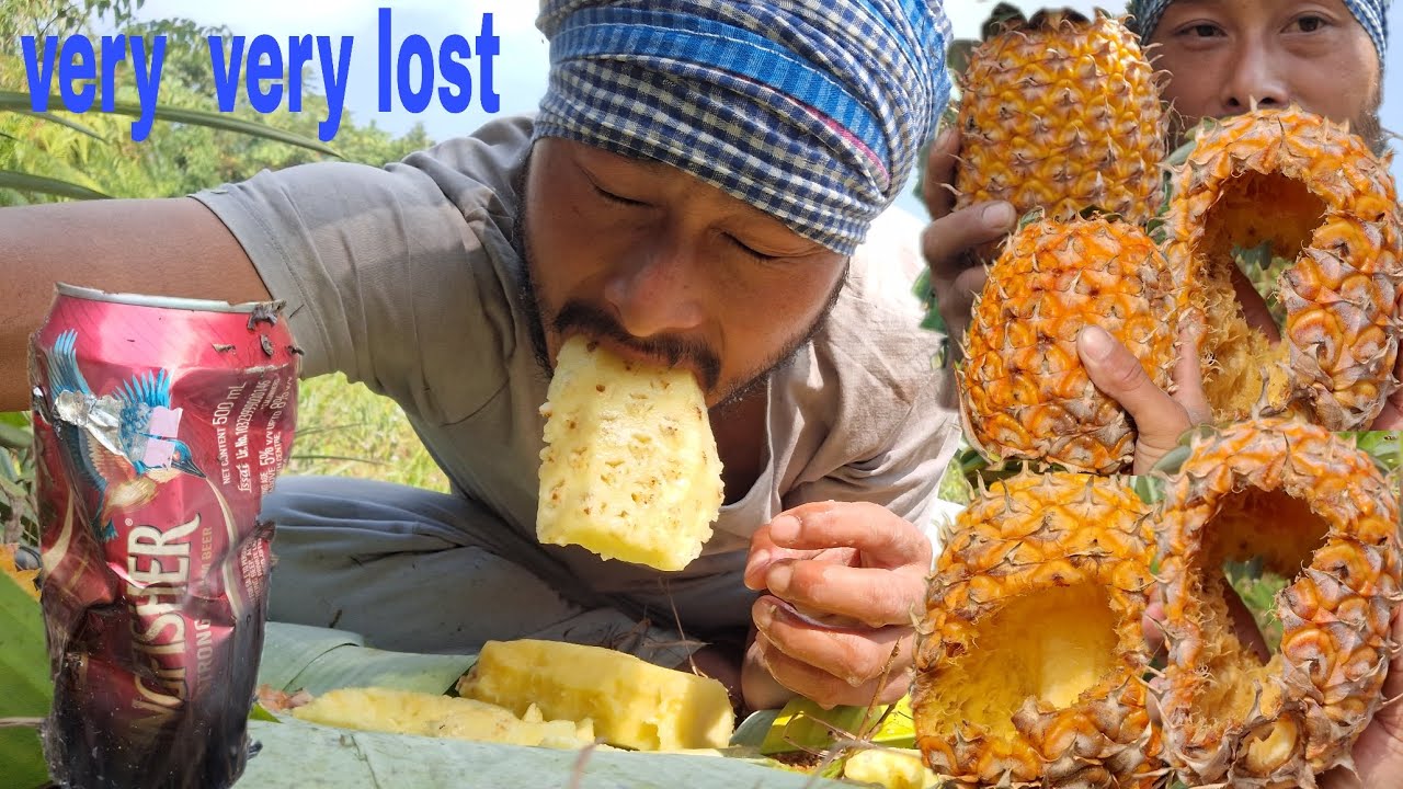 Updating my Pineapple farming.