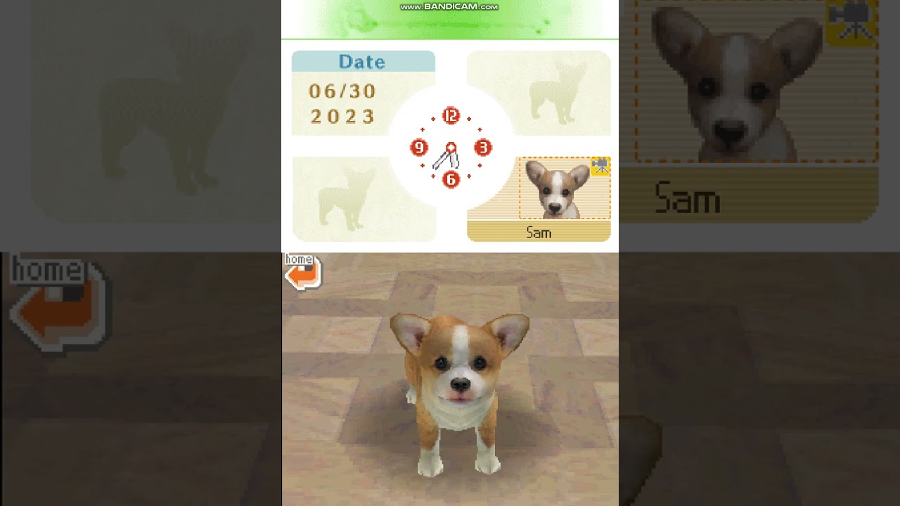 Nintendogs: Lab and Friends Australia Version Part 1