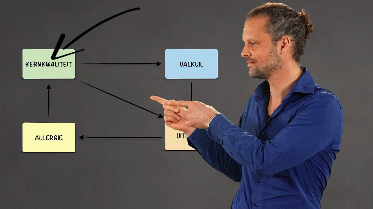 Kernkwadranten model van Daniel Ofman - Reflectie en Intervisie Deel 9
