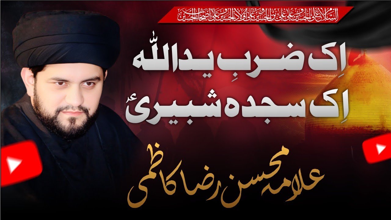 Allama Syed Mohsin Raza kazmi || Majlis Chahlum 25 Safar 2024 || chak shafee