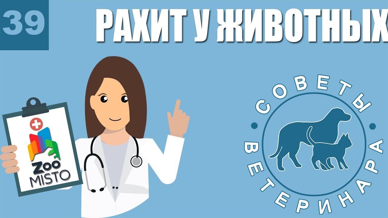 Рахит у животных | Причины рахита | Симптомы и лечение болезни | Советы Ветеринара