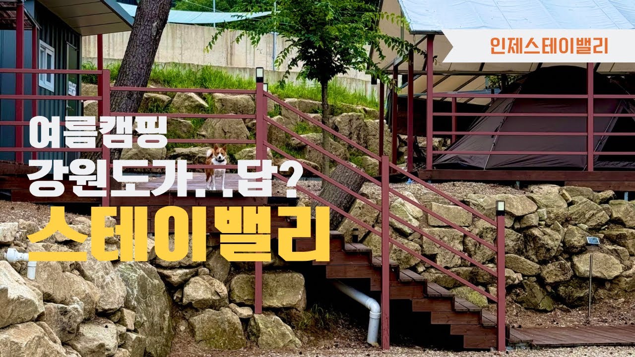 여름캠핑 강원도가 답인가?인제 스테이밸리 나도 가봤다!!