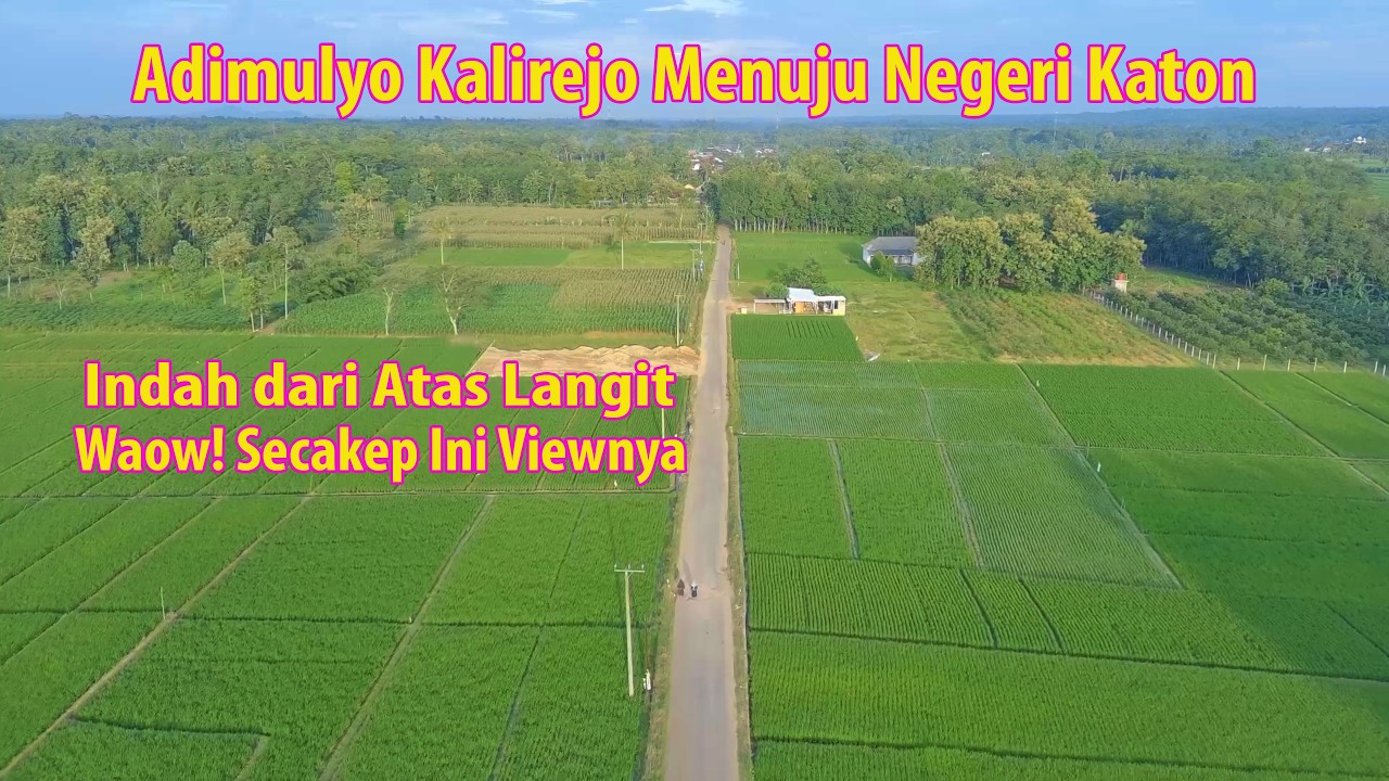 Indah dari Atas Langit | Adimulyo ke Negeri Katon Pesawaran - Lampung