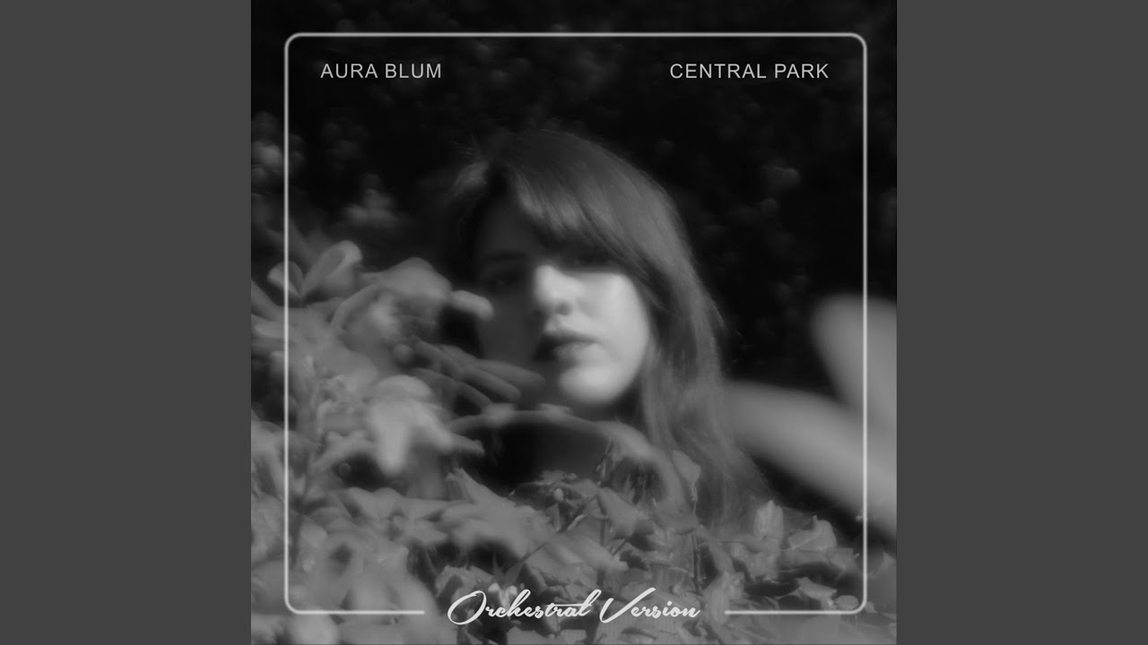 Central Park (Orquestal Version by Ronyan)