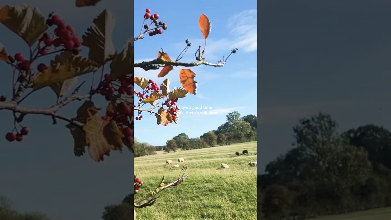Slow Living in the English Countryside | Have a Good Time While There&rsquo;s Still Time #slowliving