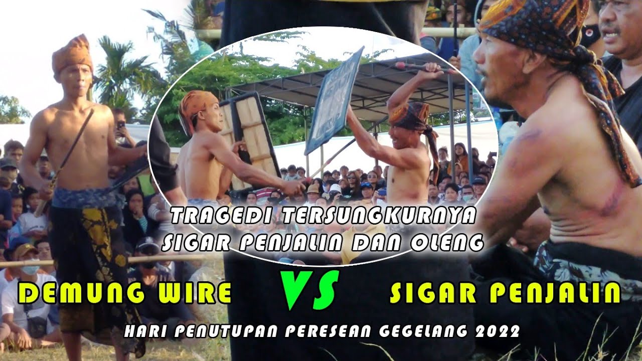DEMUNG WIRE GANAS!!!TRAGEDI TERSUNGKURNYA SIGAR PENJALIN & OLENG AKIBAT SABETAN PENTOLAN ROTAN