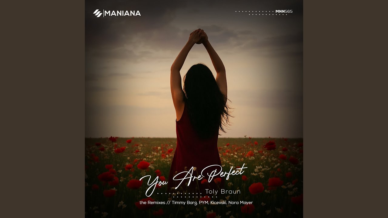 You Are Perfect (PYM Remix)