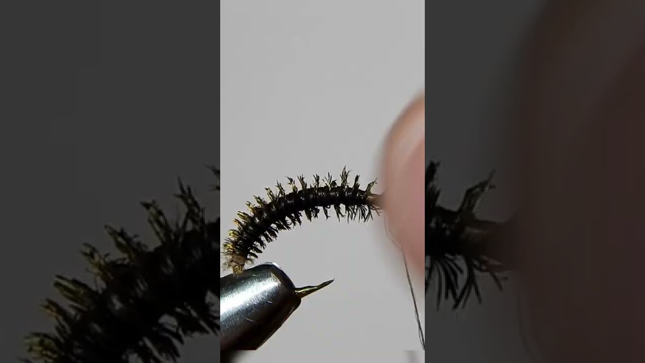 Peacock and rooster SHORTS #flytying #grayling #flyfishing