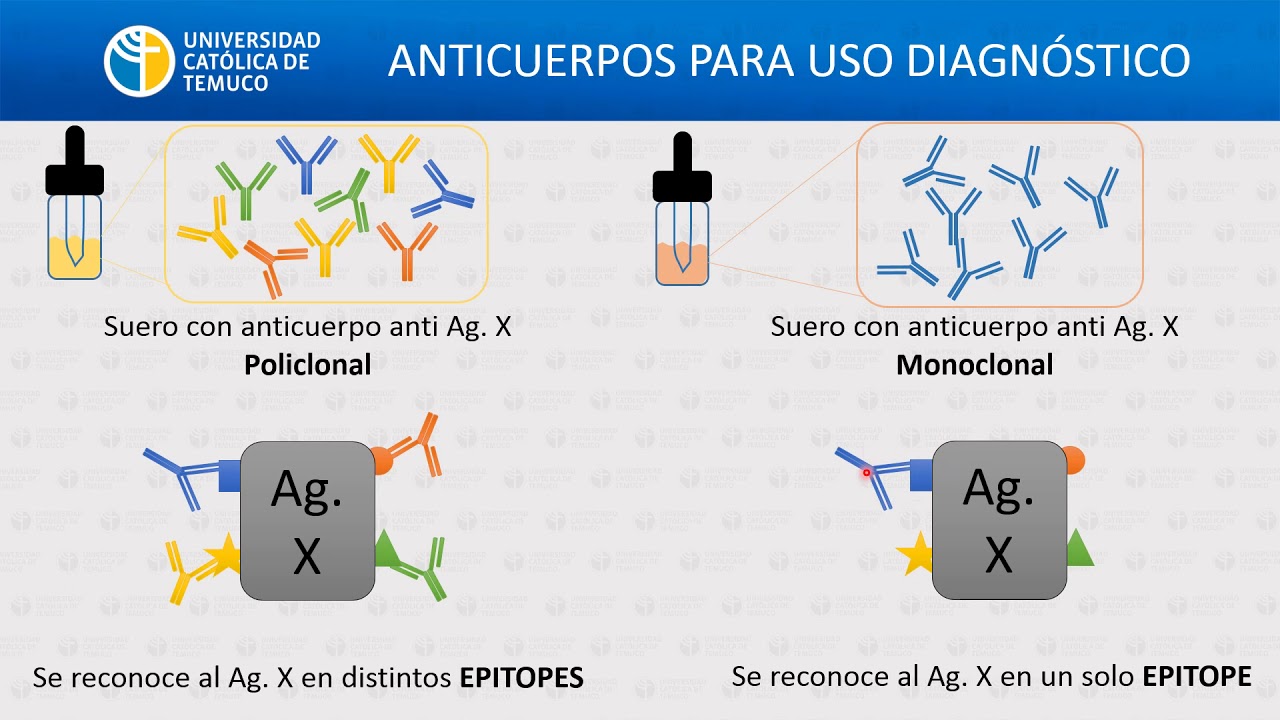 IG: Métodos inmunológicos de laboratorio