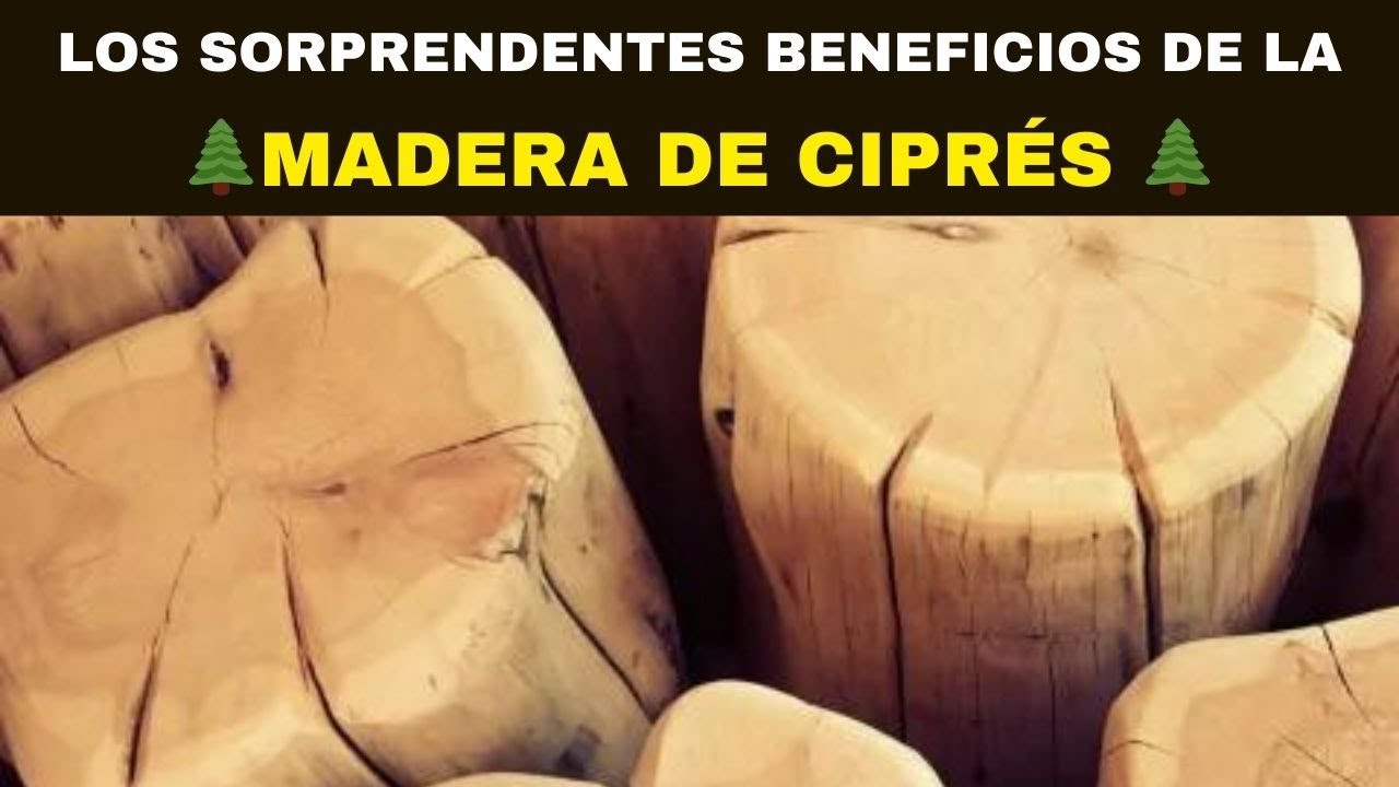 Los Sorprendentes Beneficios de la 🌲 MADERA DE CIPR&Eacute;S 🌲
