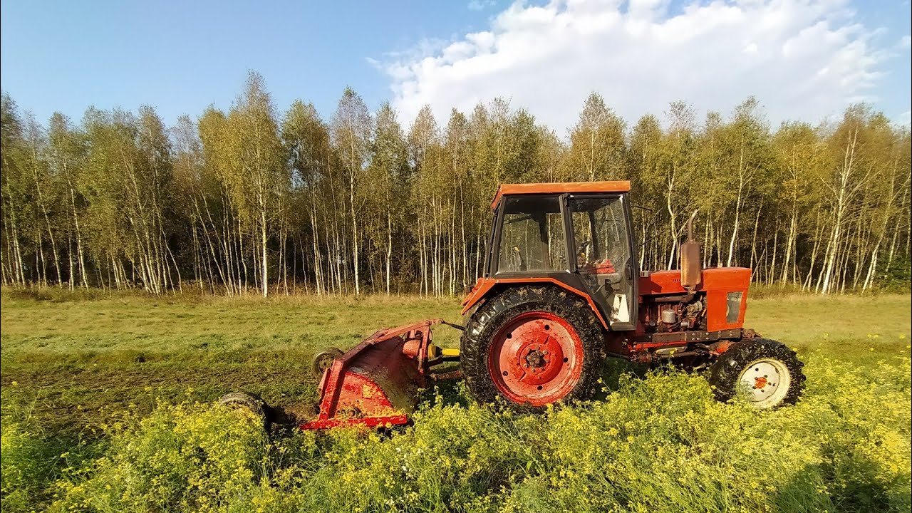 Mulczerowanie poplonu oraz orka pod oziminy z Belarus Mtz82 #Taarup skt2100#plug #Rumptstadt