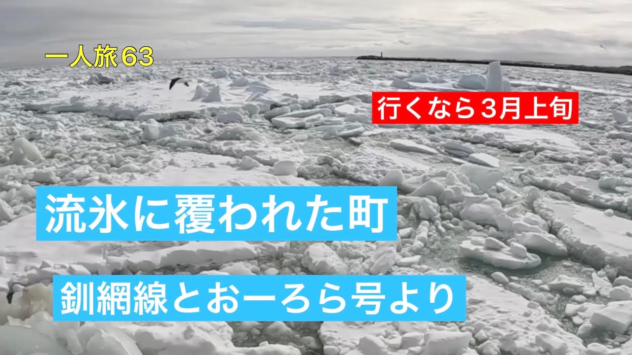 [3月がお勧め] 釧網線からの流氷観察(一面氷)