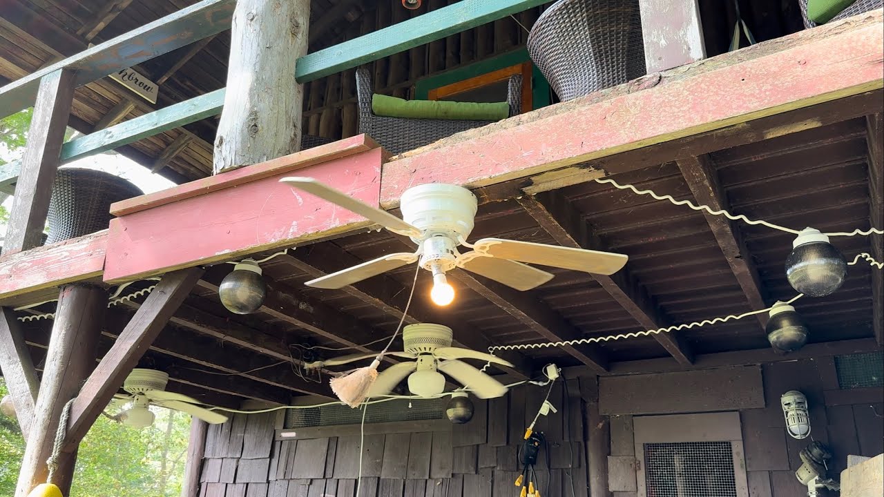 Ceiling Fan Destruction #96