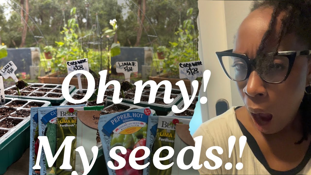 New at gardening/ MOST of my seeds did not germinate/ Did I do anything wrong?