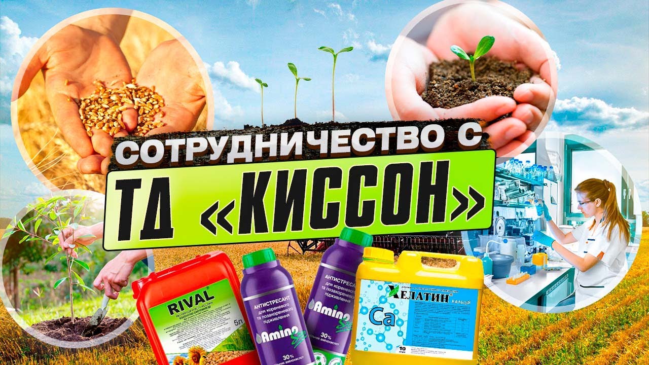 Сотрудничество с ТД &laquo;КИССОН&raquo; - это выгодно и комфортно!