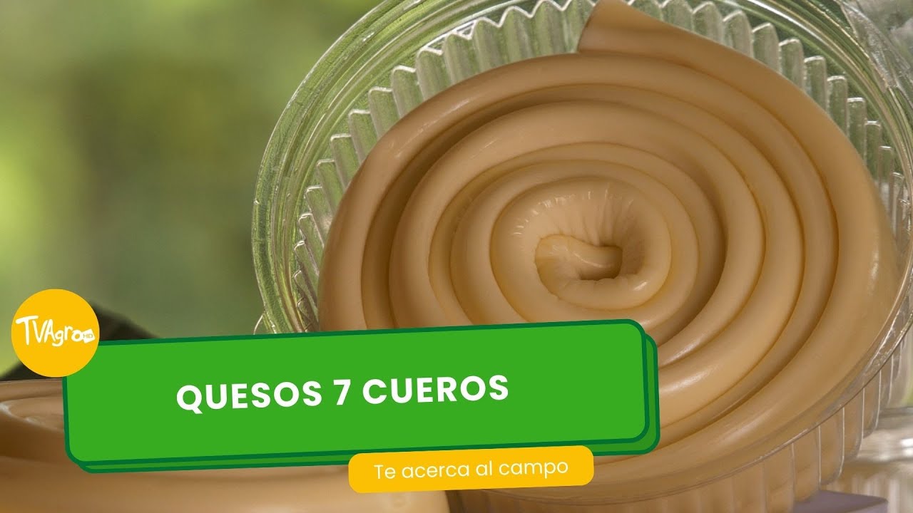 Quesos 7 cueros 🧀- TvAgro por Juan Gonzalo Angel Restrepo