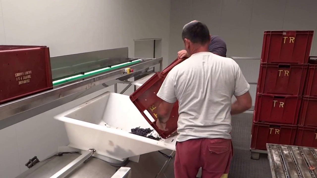 CHARGEMENT PRESSOIR CHAMPAGNE TREUFFET Père & Fils
