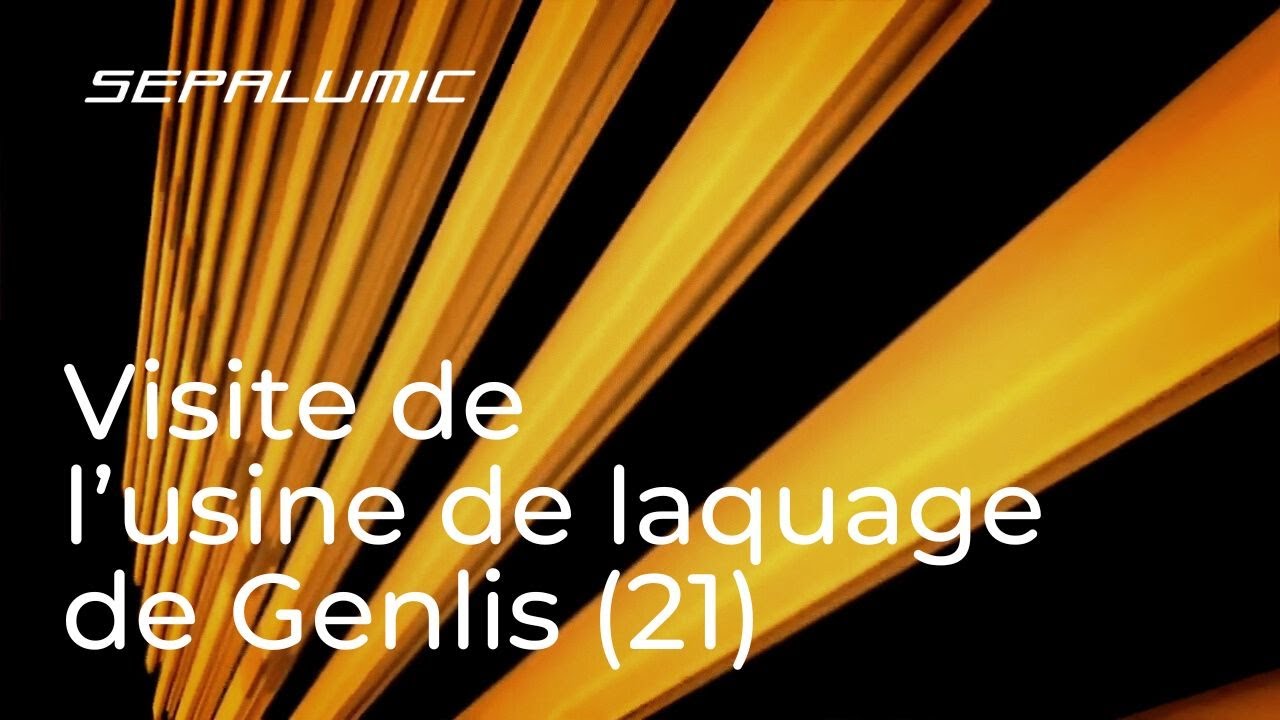 Visite de l'usine de laquage de Genlis (21)
