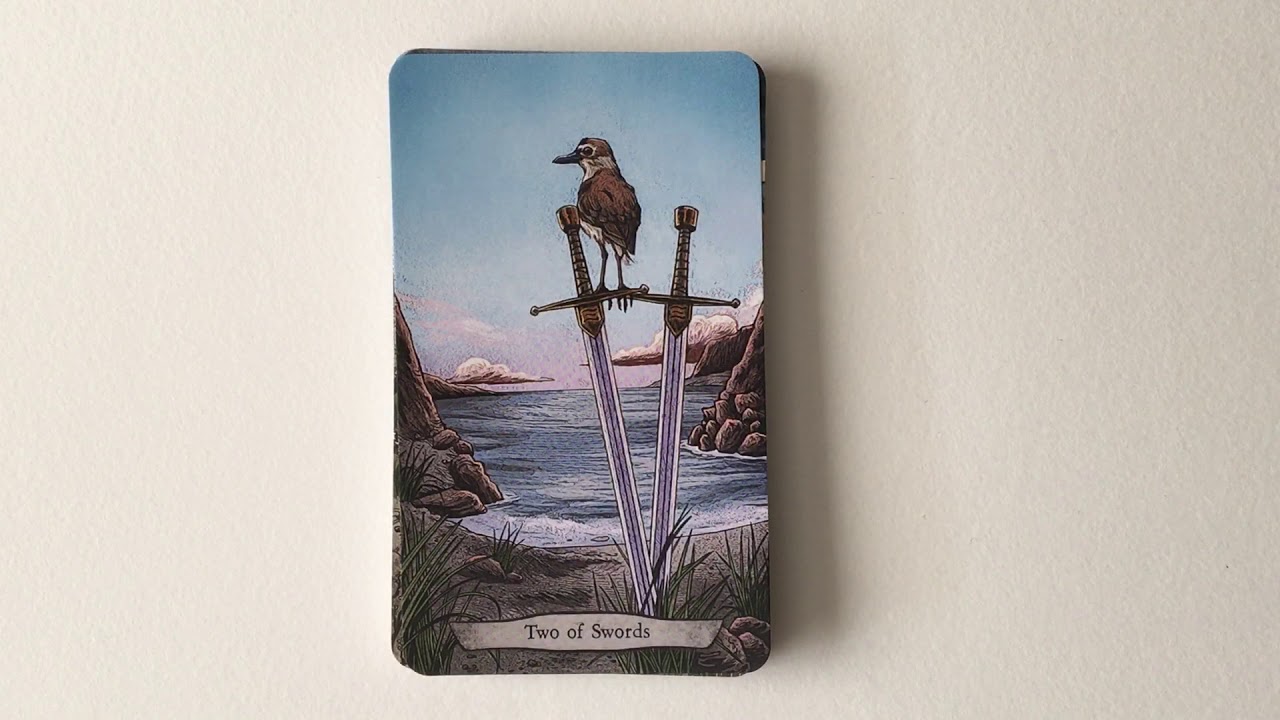 Animal Totem Tarot | Flip Through