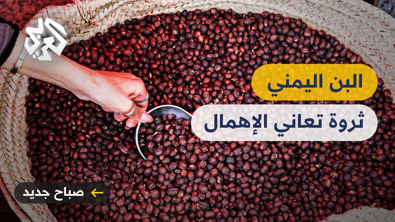 البن اليمني .. جودة عالمية وثورة تحتاج المزيد من الاهتمام