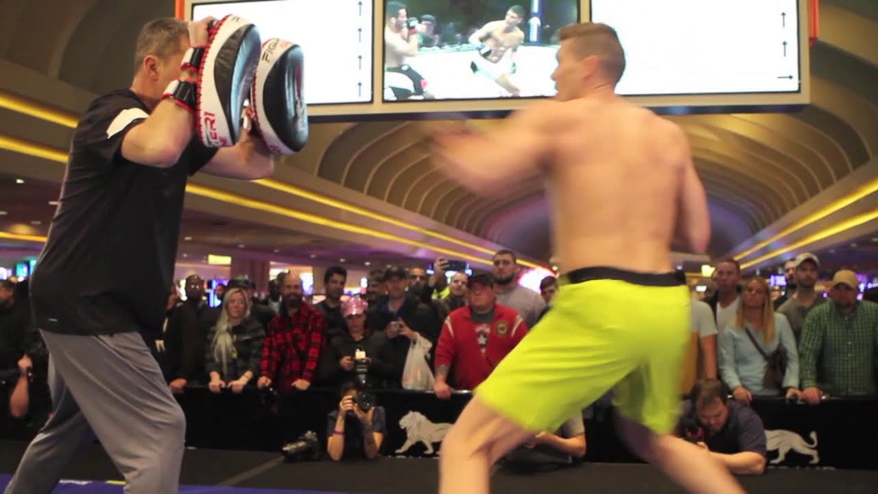 Stephen Thompson Shows Off Killer Kicks at UFC Fight Night 82 Open Workout