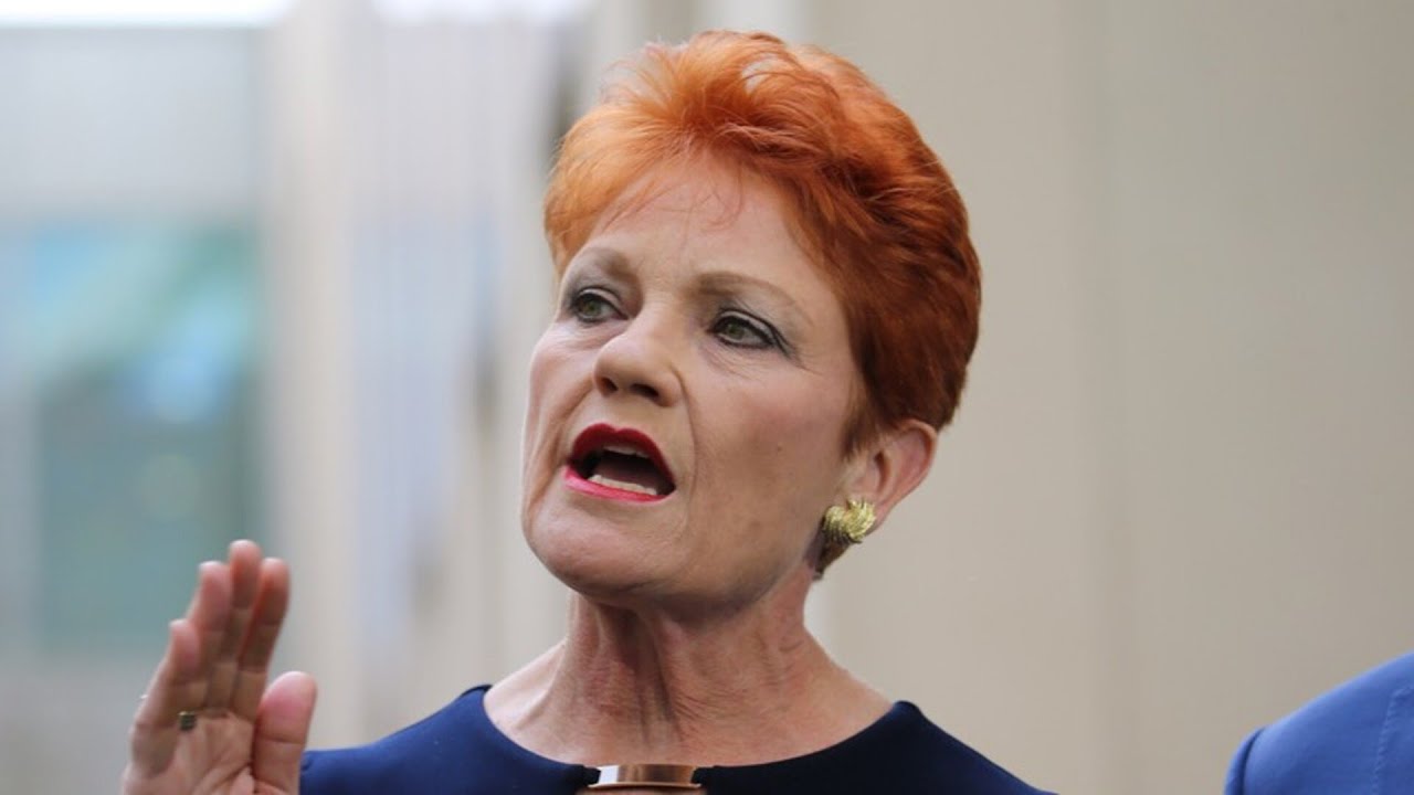 ‘People want change’: Hanson plans to target elections at all levels of government