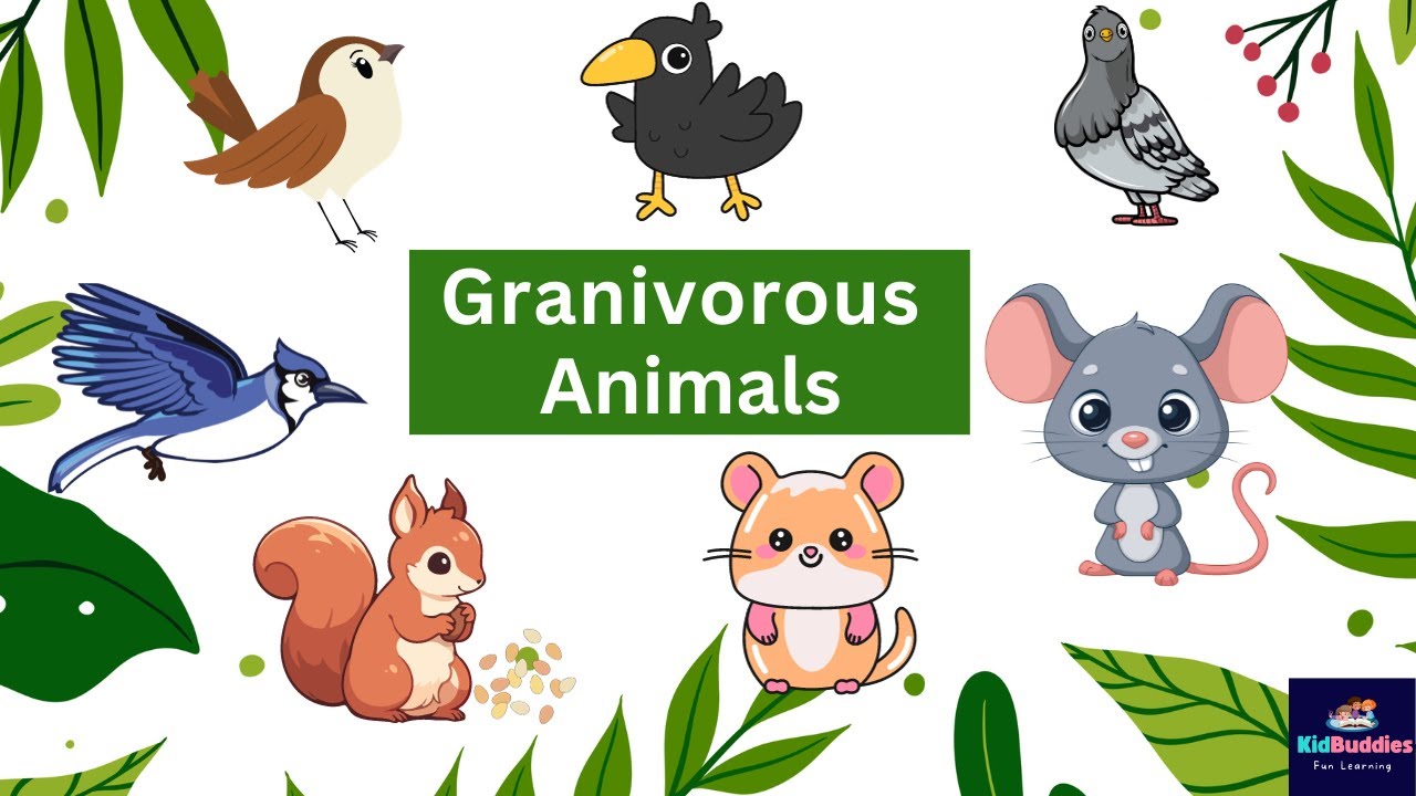 GRANIVOROUS ANIMALS Names and Sounds I Learn Granivores Animals #kidbuddiesfunlearning