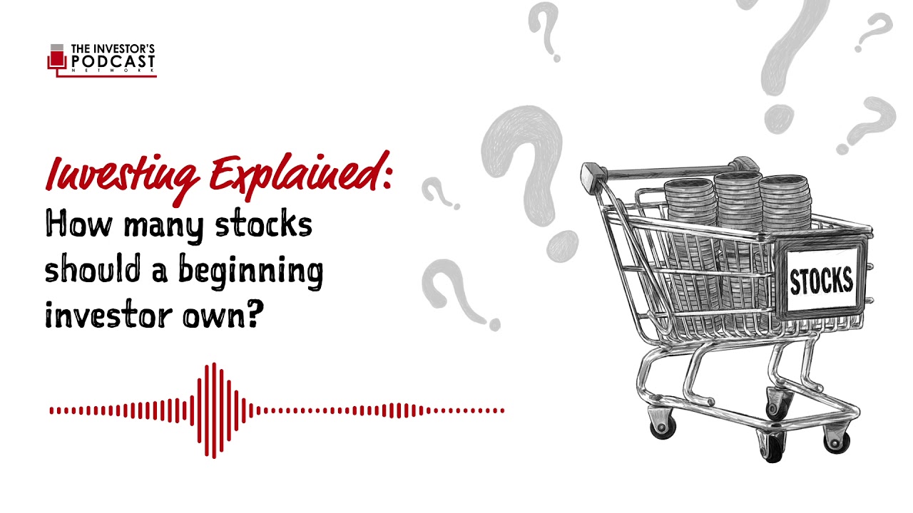 Explained: How Many Stocks Should A Beginning Investor Own?