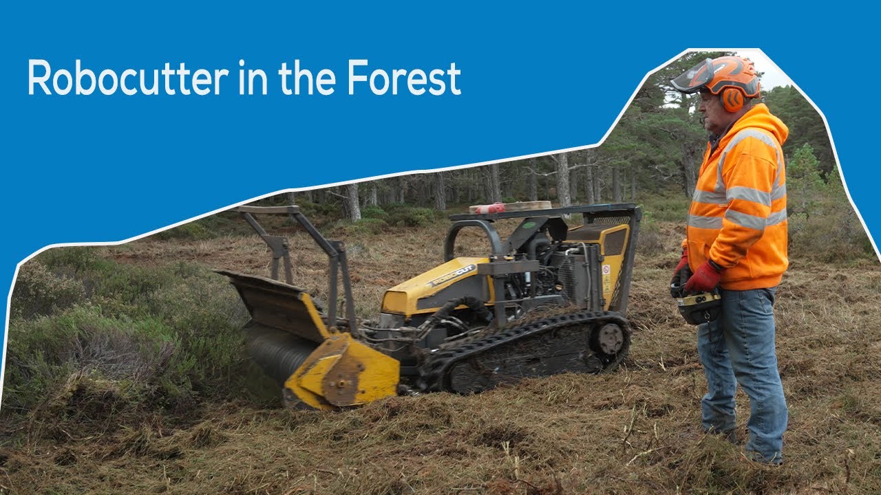 Robocutter in the Forest