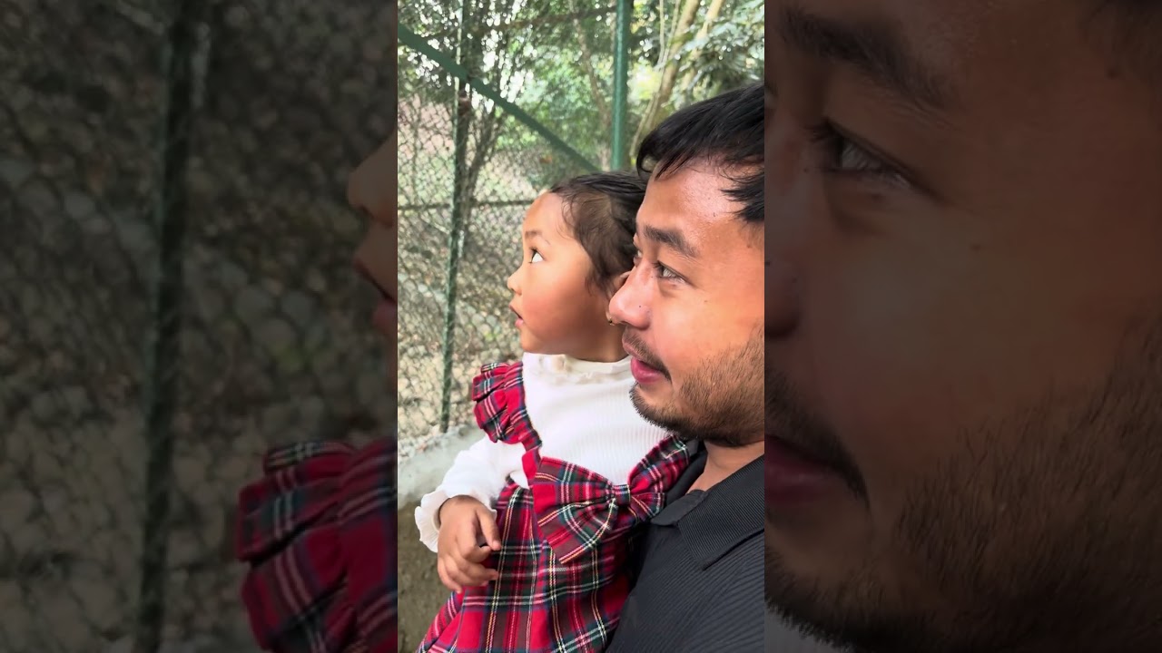 Exploring the Zoo with Ummu baby made our day extra especial 💕🥰 