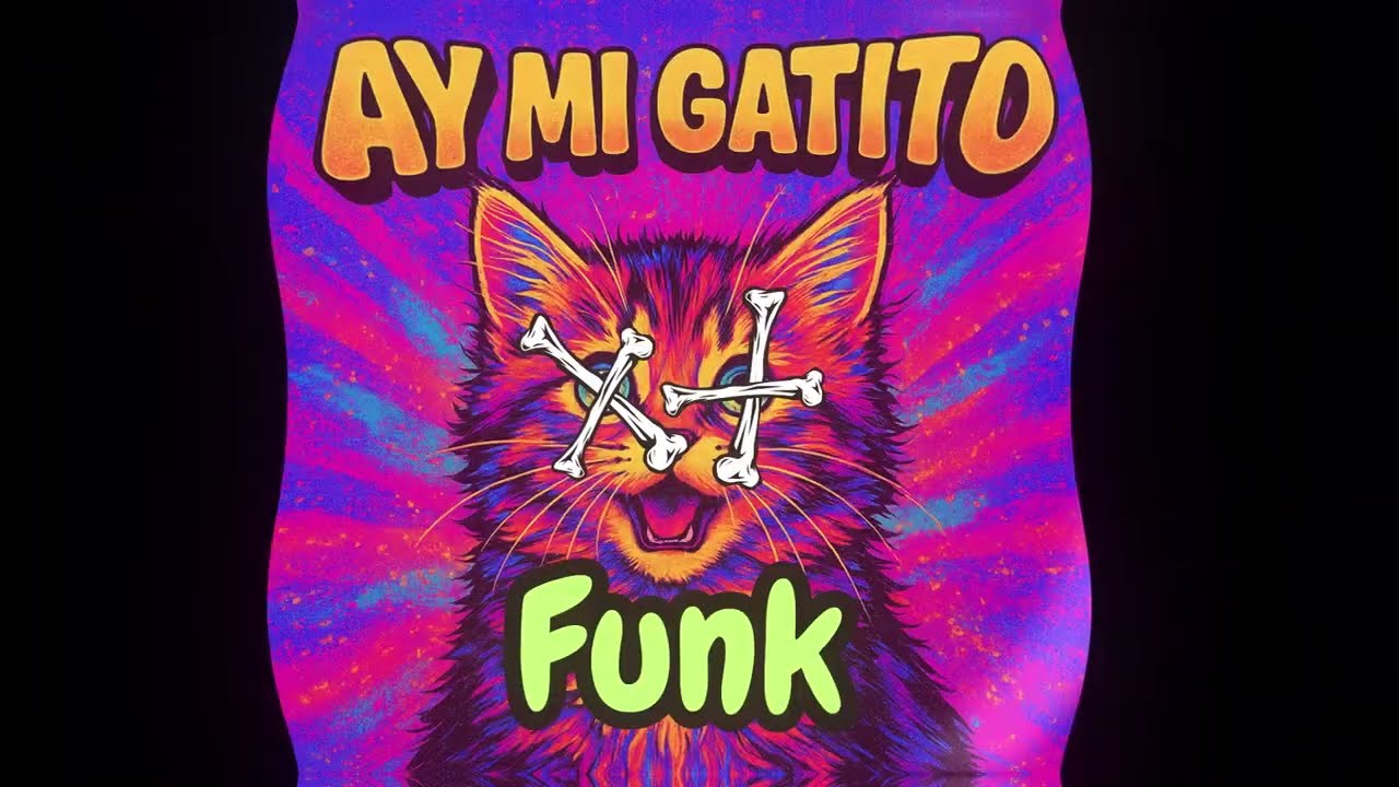 AY MI GATITO FUNK  (SLOWED) - THE YACARE