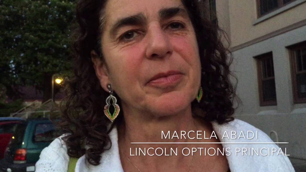 Lincoln Options will pilot new reading materials