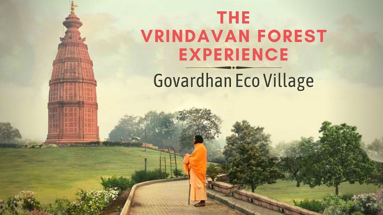 A Day in Vrindavan Forest | Govardhan Eco Village |