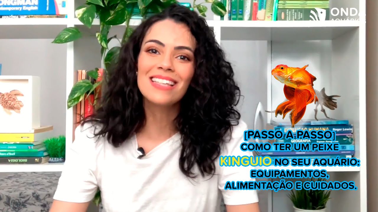 [PASSO A PASSO] Como ter um peixe Kinguio no seu aquário: Equipamentos, alimentação e cuidados.