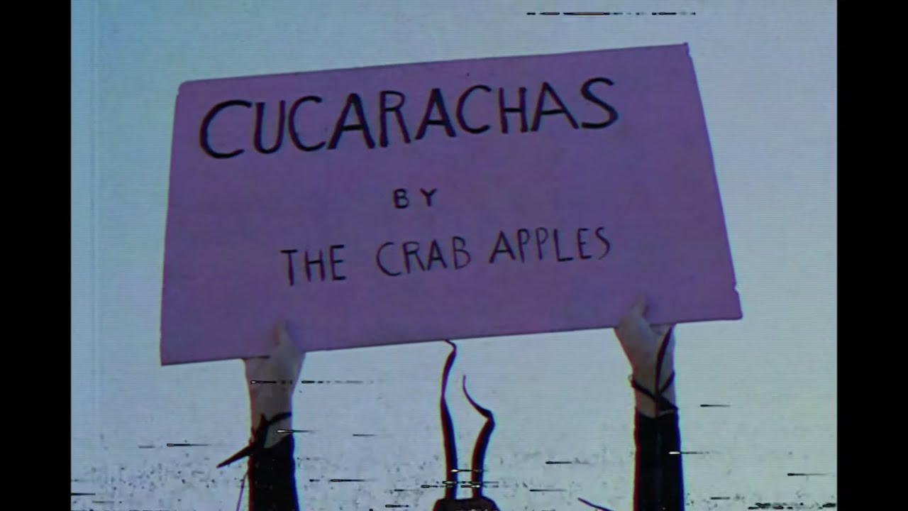 The Crab Apples - Cucarachas [Official video]