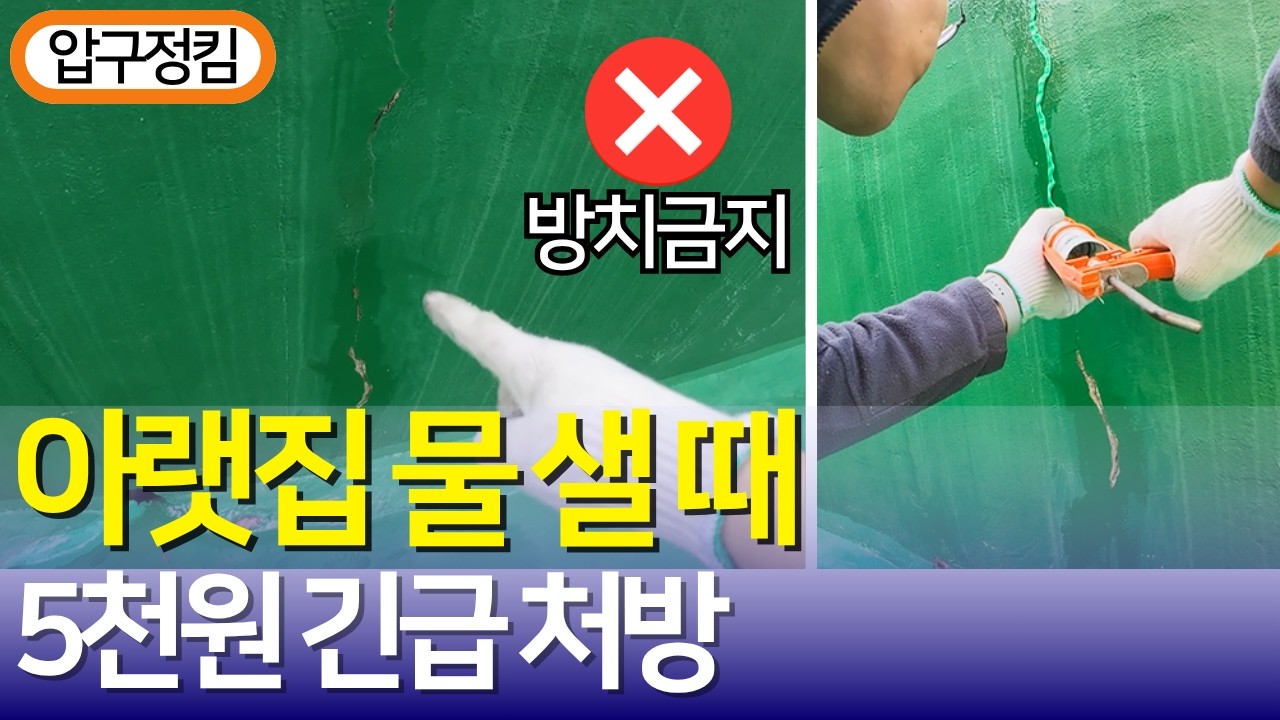 옥상 누수, 방치하면 아랫집 500만 원 물어줍니다! 실리콘 하나로 끝내는 방수 시공의 정석 (우수관/크랙/누수보상) #옥상방수 #누수공사 #건물관리 #집수리 #옥상방수공사
