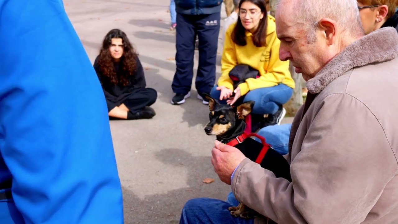 L’Hospital del Mar analitza l’impacte de la teràpia amb animals en salut mental