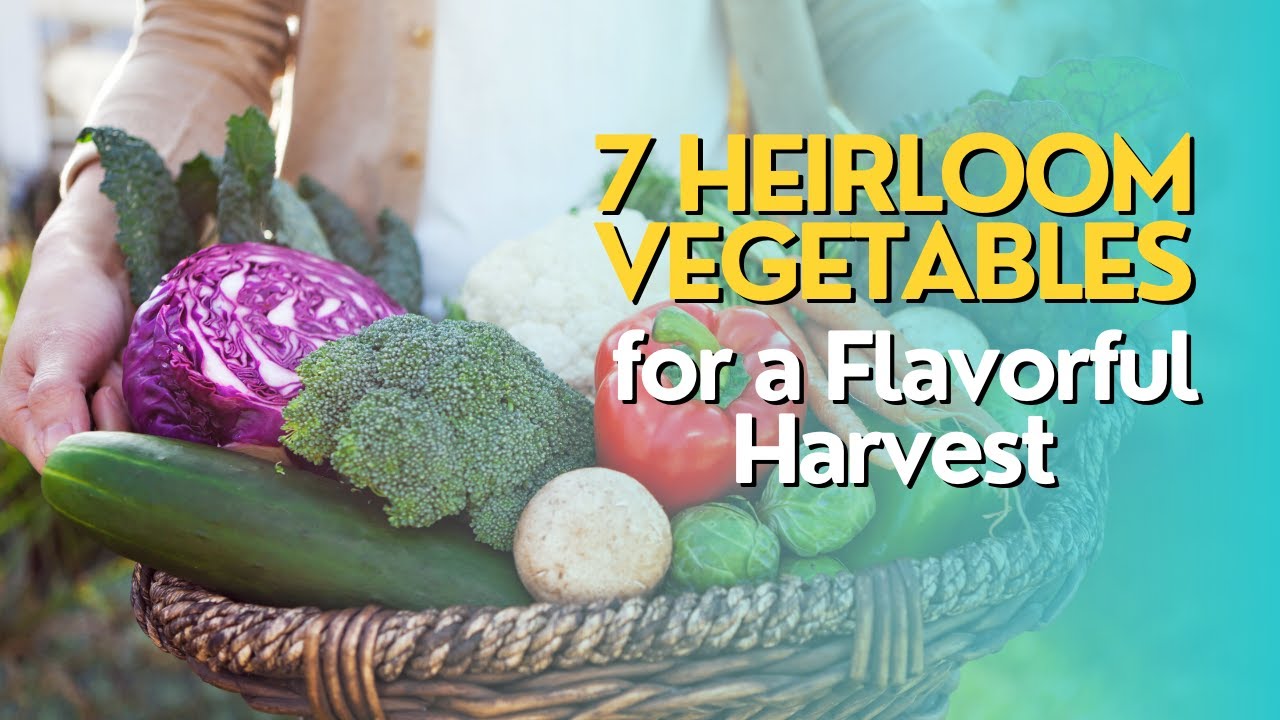 Top 7 Heirloom Vegetables for a Classic and Flavorful Harvest