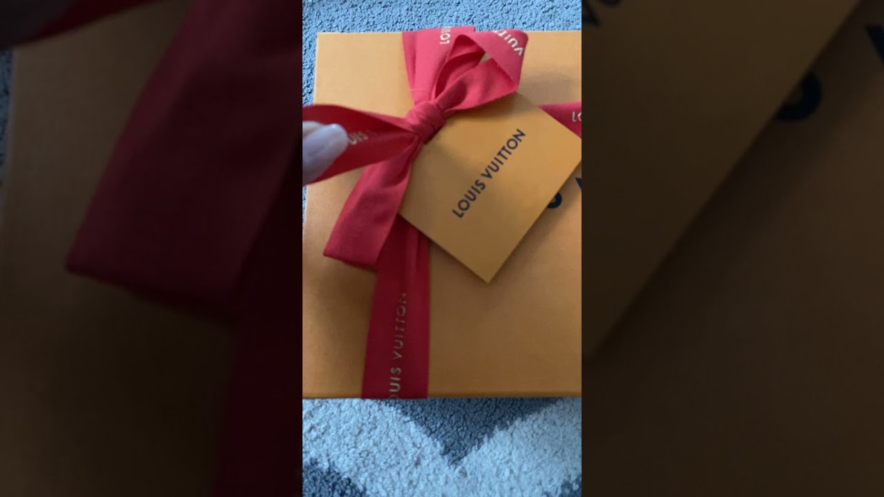 Unboxing  Louis Vuitton Pochette Accessoires nm Jan&lsquo;2022