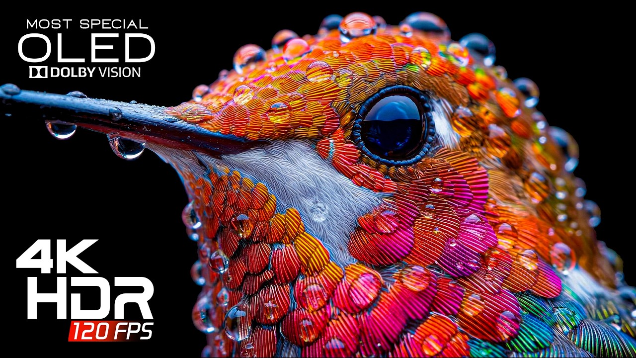 Coolest OLED TEST DEMO in 4K ULTRA HD HDR l Dolby Vision (8K/4K Video TV)