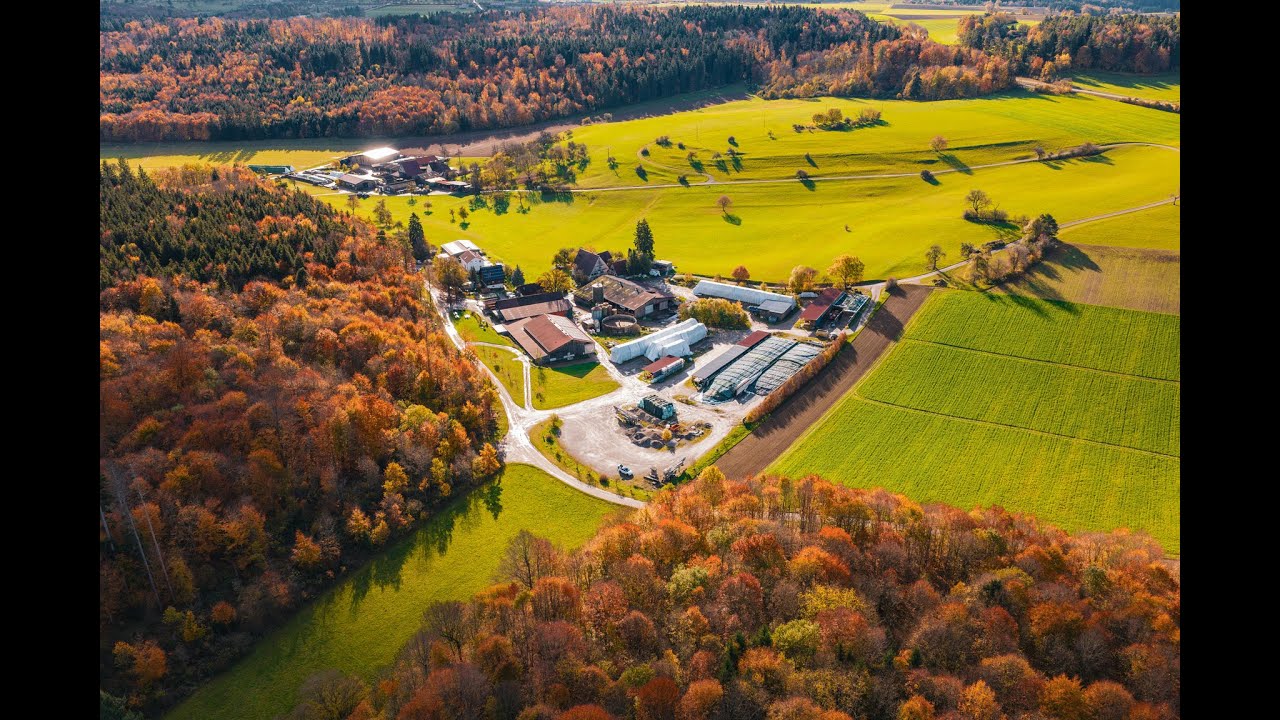 Haselstaller Hof – Unser Hof, unser Eis & echte Heimat 🍦🚜