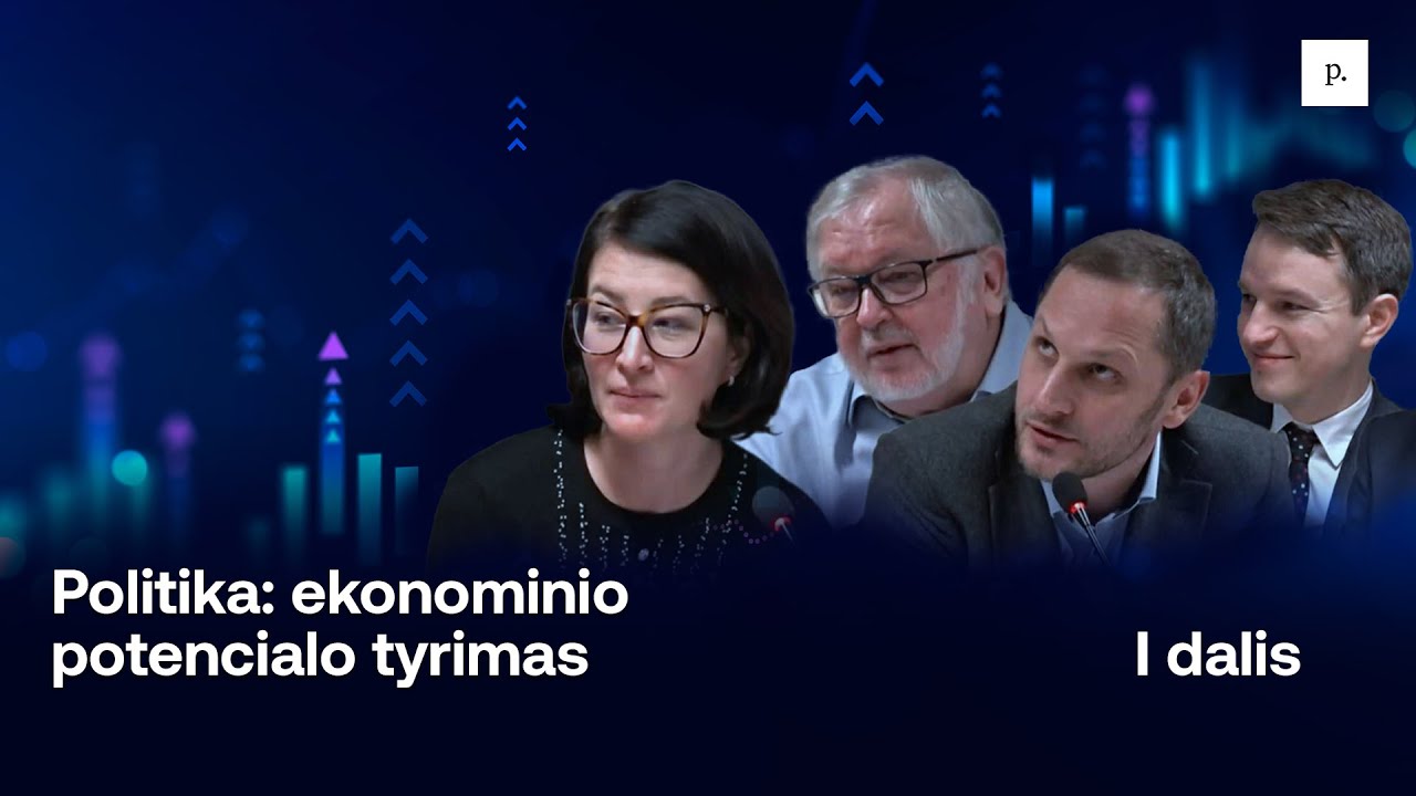 Politika: Lietuvos ekonominio potencialo tyrimas. I dalis