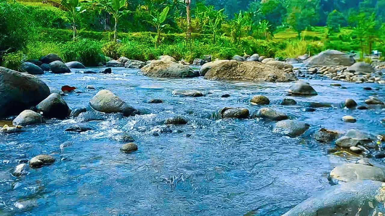 RELAXING SOUNDS FOR SLEEPING | BEAUTIFUL STREAM AND FOREST RIVER FOR DEEP SLEEP & RELAXATION #59